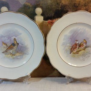 Dresden Semi-Porcelain (2) Bird Game Plates 9"